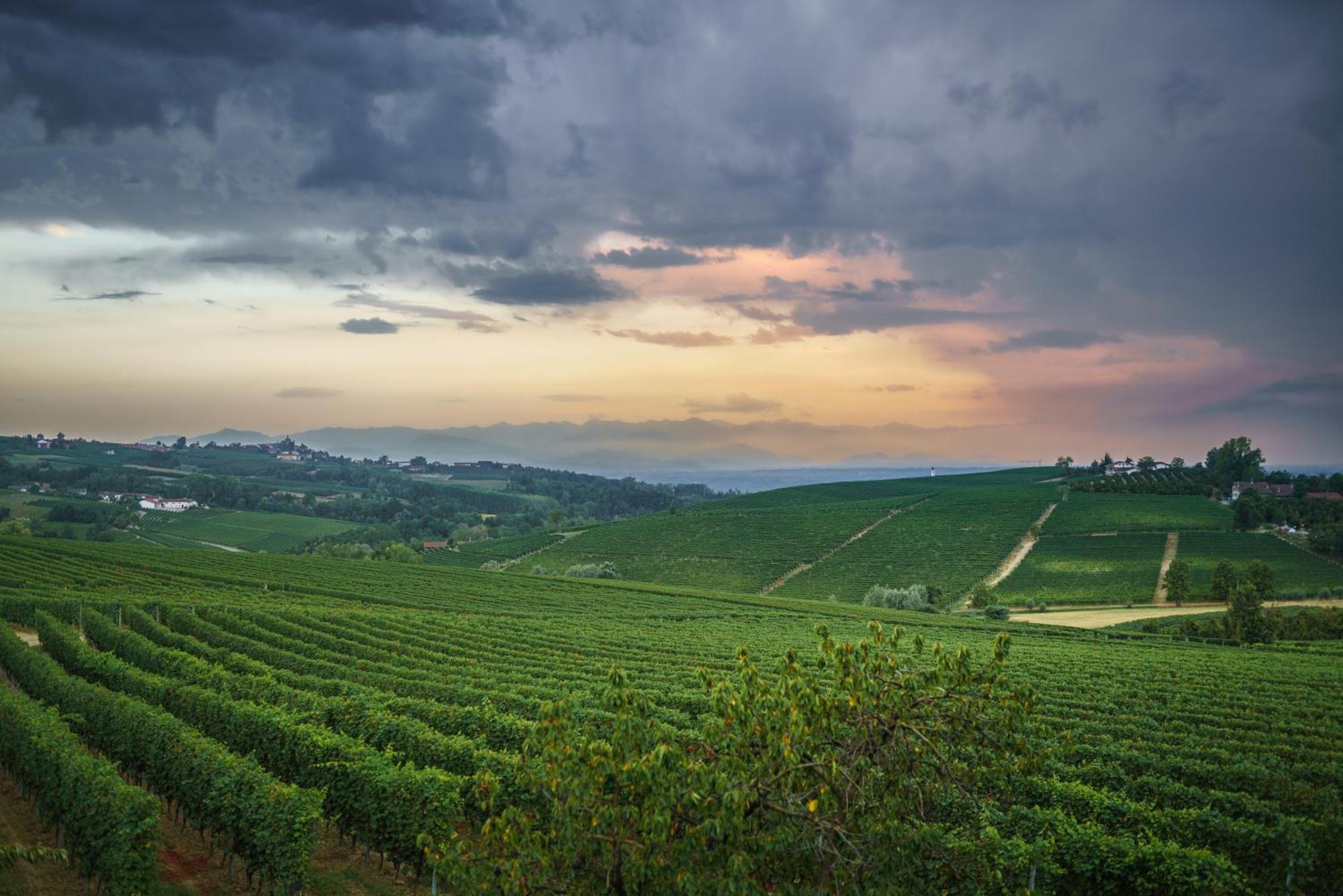 Vineho Apartment Barolo Luaran gambar